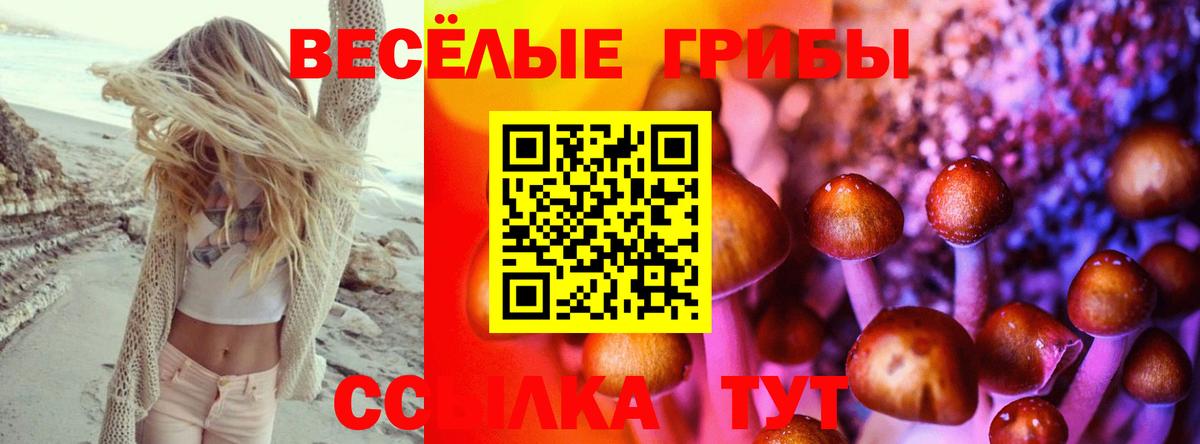 Псилоцибиновые грибы Psilocybe  Вход с VPN  Ялта  Псилоцибиновые грибы Magic Shrooms 